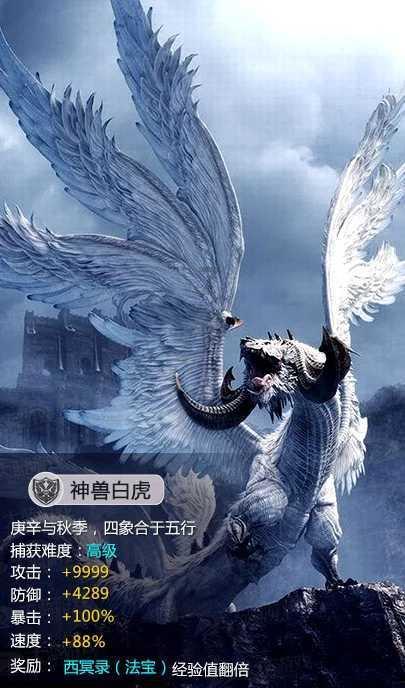 小猫钓鱼正版下载中文版