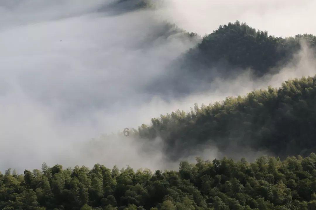 异星探险家