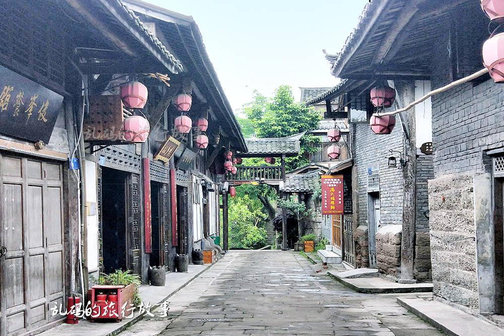 植物大战僵尸21